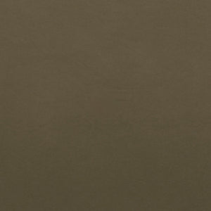 TUKD Kydex IWB Holster Olive