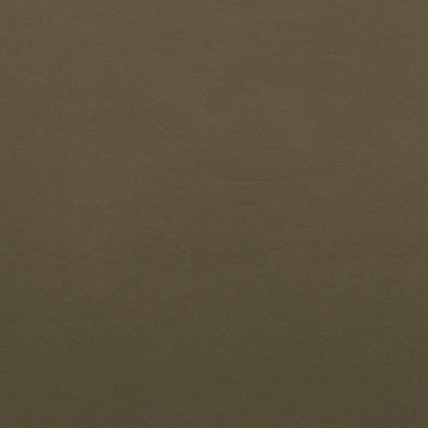 TUKD Kydex IWB Holster Olive