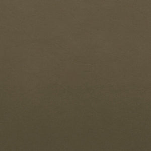 TUKD Kydex IWB Holster Olive